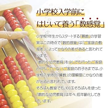 Amazon | トモエそろばん アバカス100 （ABA100C） 児童用100玉